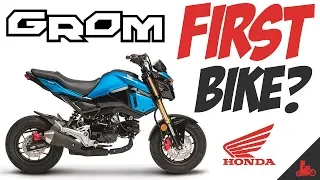 Honda Grom: Good Beginner Motorcycle?