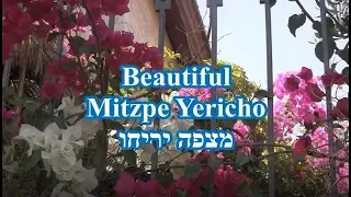 Mitzpe Yericho