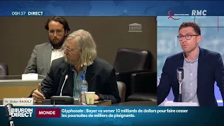 Le vrai du faux des déclarations de Didier Raoult lors de l'épidémie de coronavirus