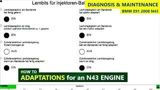 How do I perform ENGINE ADAPTATIONS - BMW E91 engine N43