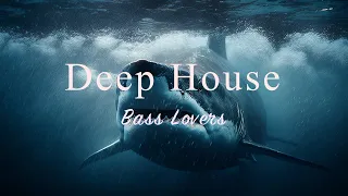 Deep House 2023 Summer🦈💃 Bass Lovers Mix【House / bsssline Mix / Electronic】