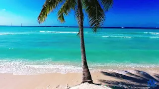 Остров Саона р. Доминикана 2017 (Dominikana, Saona Island)