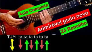 ADMIRÁVEL GADO NOVO -AULA COMPLETA