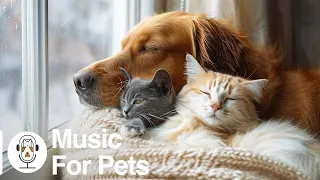 Have the Most Relaxed Cat & Dog! Relaxing Music for Easily Stressed Cat & Dog, Help Cat & Dog Sleep!