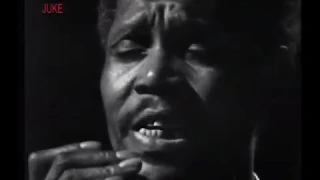 Shakey Horton - All Star Boogie/ That Aint It - 1970 (Live Video)