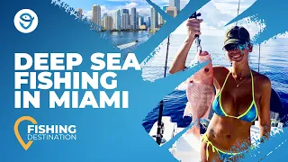 Miami Deep Sea Fishing: All You Need to Know | FishingBooker