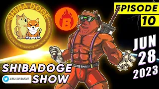 EP10 ShibaDoge Show Leo Talks Crypto Whale Groups Pepe BNB Bridge Burn Token AI NFTs DeFi Success