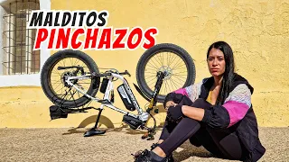 👉15 PINCHAZOS en 2 HORAS Viajando en BICICLETA Eléctrica con Alforjas y dos PERROS🐶