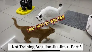 Tinie Moo & Kam Kam not training Brazilian Jiu-Jitsu - Part 3