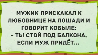 Мужик прискакал к любовнице на лошади. Сборник Свежих Анекдотов! Юмор!