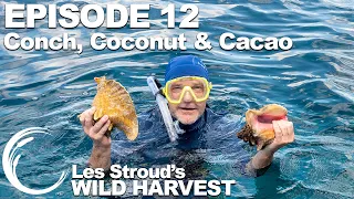 Wild Harvest | Season 2 | Episode 12 | Conch, Coconut & Cacao