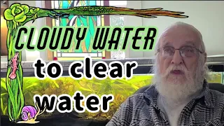 Unbelievable! Father Fish Transforms Cloudy Water to Crystal Clear Water - Amazing Transformation!