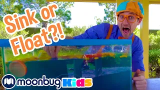 Sink or Float with Blippi! | Fun Science Experiment for Kids | Educational Videos For Toddlers