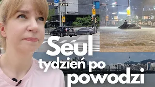 Jak Koreańczycy poradzili sobie z wielką powodzią! Sprawdziłam w Seulu!