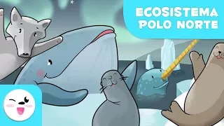 Los animales del Polo Norte para niños - Conoce la naturaleza