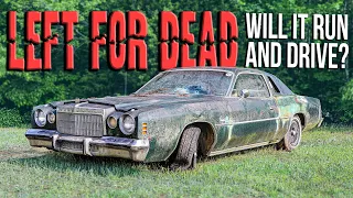 LEFT FOR DEAD CORDOBA - Will It RUN And DRIVE After Sitting Many Years?