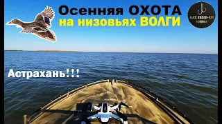 ОХОТА на УТКУ на осенних Раскатах Каспия, в низовьях ВОЛГИ на АСТРАХАНЩИНЕ!!!!