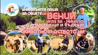 Как Венци от Богданов дол доказа в съда наличието на виртуални животни. И една история за Указ56 ...