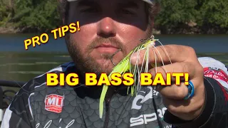 How To Fish A Chatterbait In The Summer | Bass Fishing