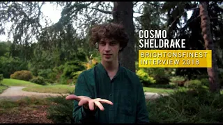 Cosmo Sheldrake – Interview 2018