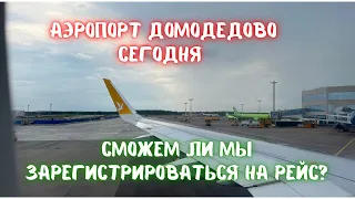 Летим в Египет. Аэропорт Домодедово СЕГОДНЯ. Обзор Duty free и бизнес зал!