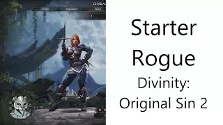 ✅ Basic Starter Rogue in Divinity: Original Sin 2