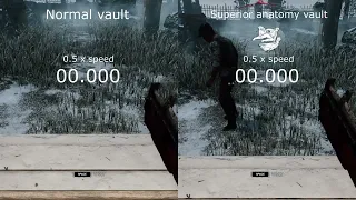 Superior anatomy window vault comparison