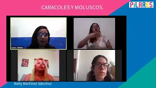 Caracoles y otros Moluscos. Accesibilidad para personas con discapacidad.