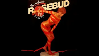 Rosebud - Discoballs ( A Tribute To Pink Floyd)