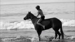 Horse Music video~In the name of love