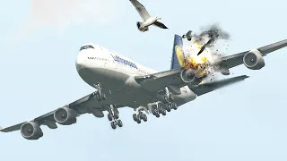 B747 Emergency landing After Bird-Strike | X-Plane 11