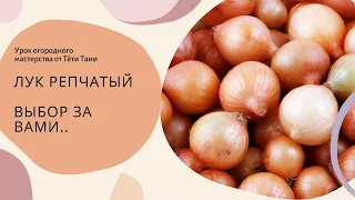 452. Лук репчатый. Выбор за вами...