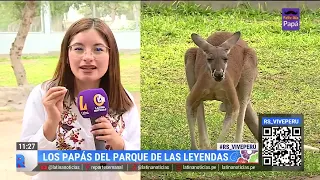 🔴 #ReporteSemanal | Conoce a los papitos del 'parque de las leyendas'.