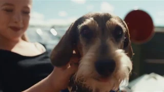 Top Dog Film Festival 2018 au FINAL teaser