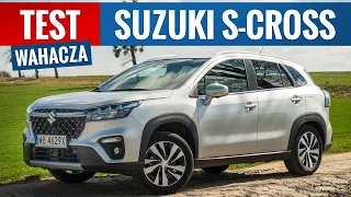 Suzuki S-Cross 2023 - FULL REVIEW interior, exterior, range, POV test drive, LED at night