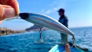 PESCA con MINNOW || JERKBAIT || MEDIA AGUA.