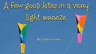 A few good kites in a very light breeze