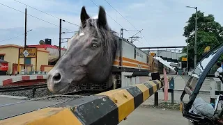 Extreme MAD Horse Headed Intercity Express Deadly Aggressive Moving Throughout Railgate