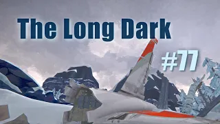The Long Dark (77)
