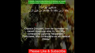 Коран Сура Ас-Саффат | 37:11  | Чтение Корана с русским переводом| Quran Translation in Russian