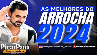 PicaPau Forrozeiro as  melhores do Arrocha 2024