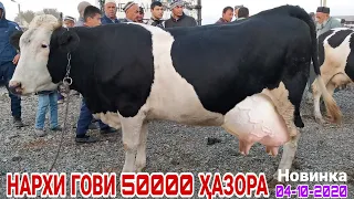 МОЛБОЗОРИ ТУРСУНЗОДА НАРХИ ГОВИ 50000 ХАЗОРА  БУГОЗ И ГОВИ ШИРТЕ 04-10-2020