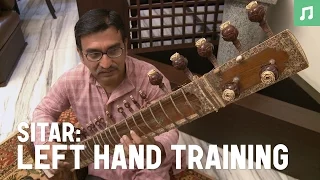 Learn how to play sitar: Left hand training