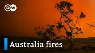 Australia fires: Morrison calls up 3000 reservists as heat rises | DW News