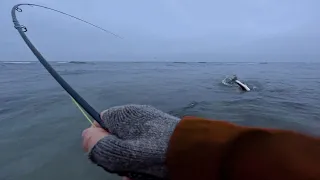 Fly Fishing in Water Close to Freezing. How Can It Be This Good?