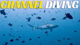 CHANNEL Scuba Diving In The MALDIVES - Ep 85