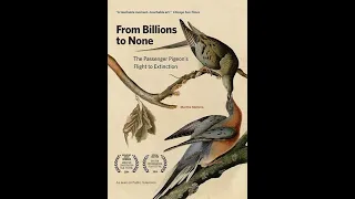 From Billions To None: The Passenger Pigeon's Flight to Extinction