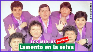 Los Mirlos del Perú - Lamento en la selva (nueva versión)