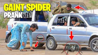 Gaint Spider Prank - Try Not to Laugh 😂