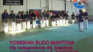 Yoseikan Budo Mantova